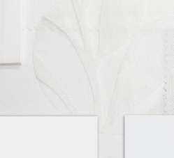 WHITE color