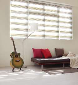Double Roller Blinds/Zebra Blinds - Nonya Double Roller Blinds Vein Design