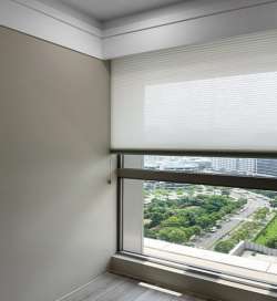 Honeycomb Shades/Cellular Shades - Celaro Honeycomb Shades Sheer